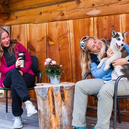 Jotunheimen Husky Lodge Randsverk Zewnętrze zdjęcie