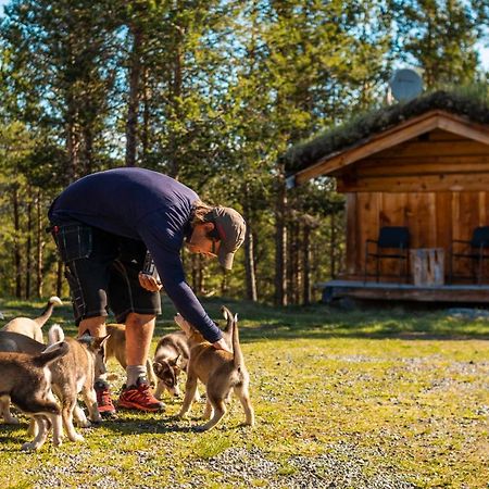 Jotunheimen Husky Lodge Randsverk Zewnętrze zdjęcie