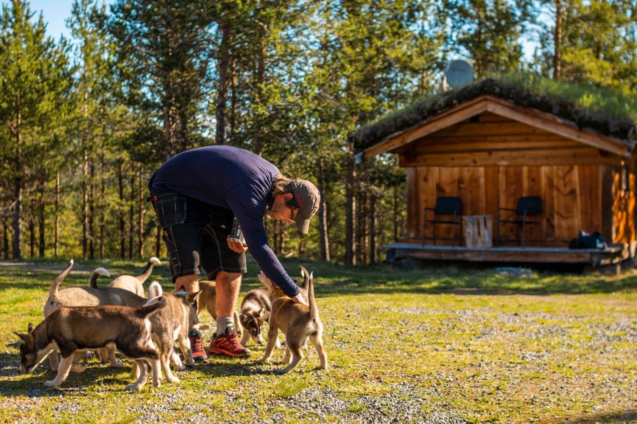 Jotunheimen Husky Lodge Randsverk Zewnętrze zdjęcie