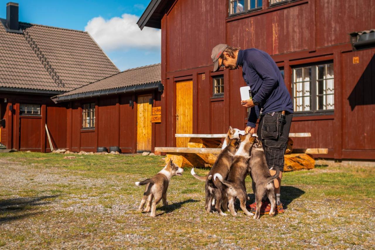 Jotunheimen Husky Lodge Randsverk Zewnętrze zdjęcie