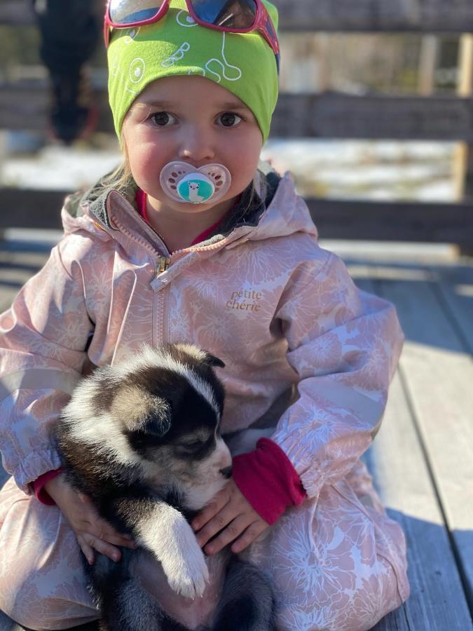 Jotunheimen Husky Lodge Randsverk Zewnętrze zdjęcie