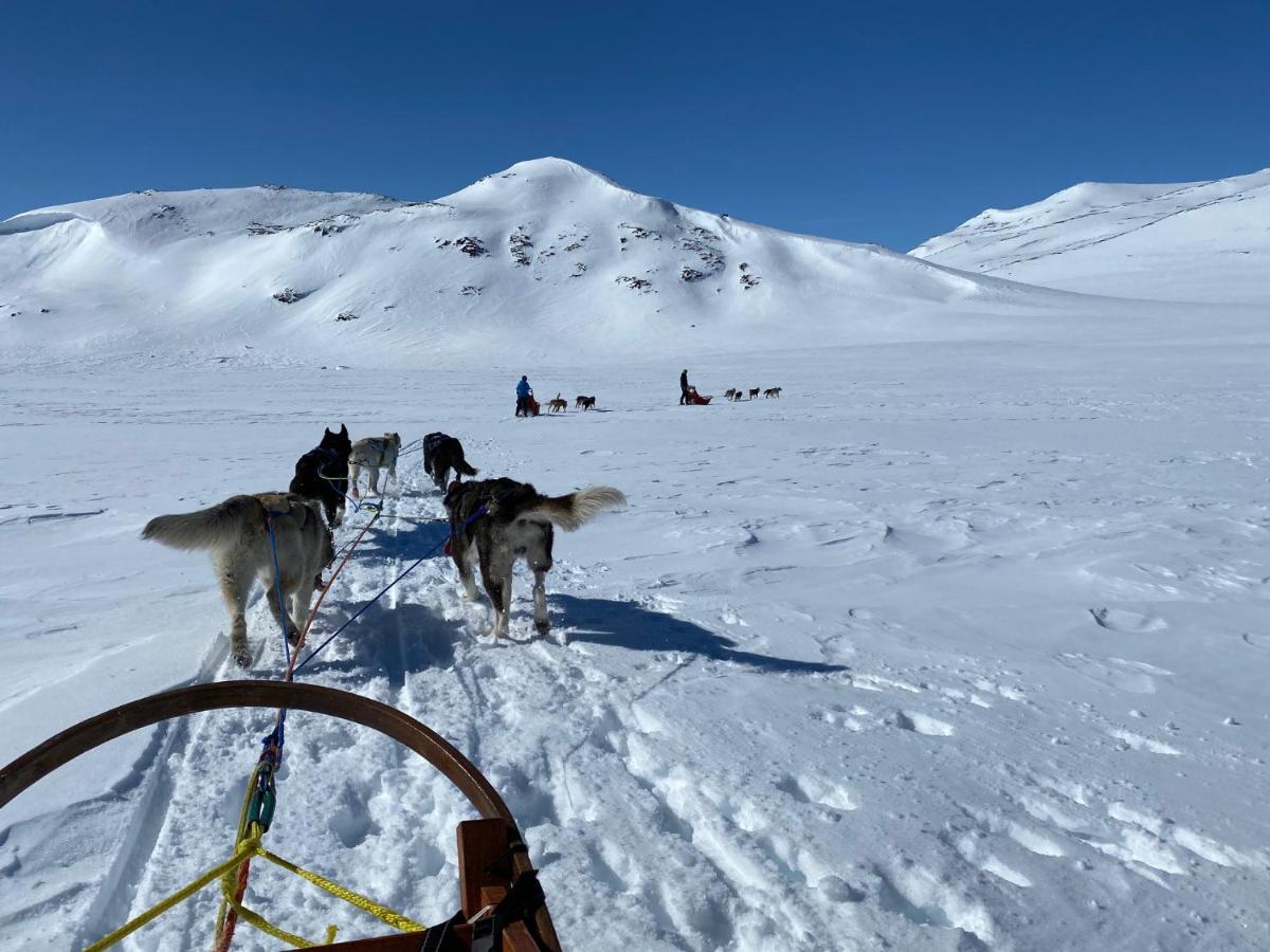 Jotunheimen Husky Lodge Randsverk Zewnętrze zdjęcie
