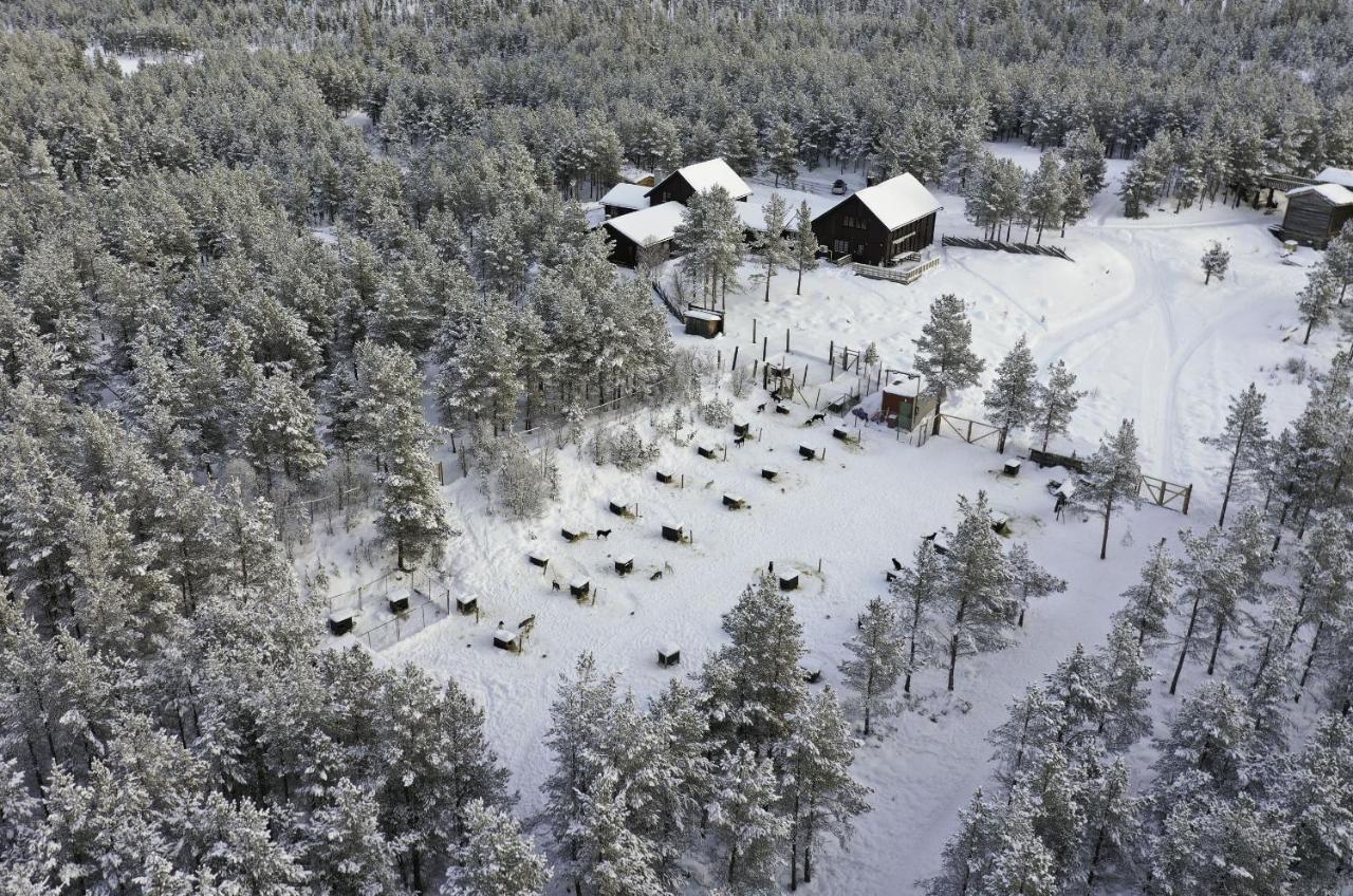 Jotunheimen Husky Lodge Randsverk Zewnętrze zdjęcie